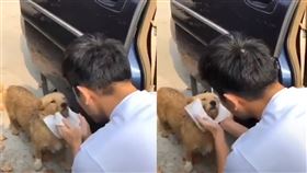 （圖／翻攝自微博）高以翔,流浪狗,浪浪