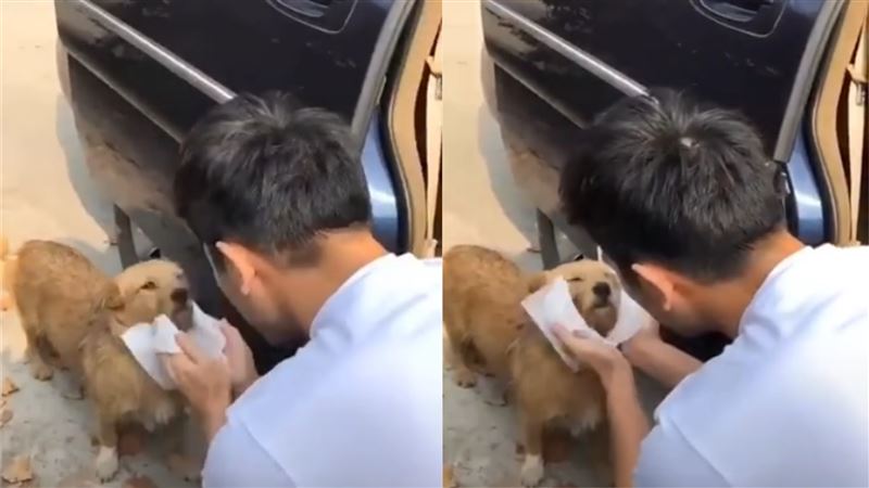 高以翔久蹲幫浪浪擦臉…粉絲全看哭了