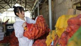 大陸,豬農,老父,嫁妝,正妹,擇偶
https://s.weibo.com/weibo/%25E5%25BC%25B5%25E5%25BF%2597%25E9%2581%25A0?topnav=1&wvr=6&b=1