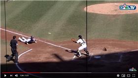 ▲陳晨威衝本壘仆街竟然得分。（圖／翻攝自CPBLTV）