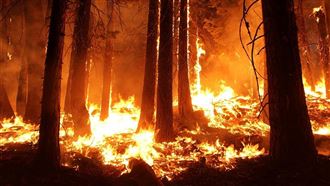 土國野火燒燃煤發電廠　火勢史上最大