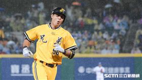 中信兄弟曾陶鎔 （圖／資料照）