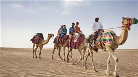 ▲杜拜（圖／杜拜旅遊局提供）