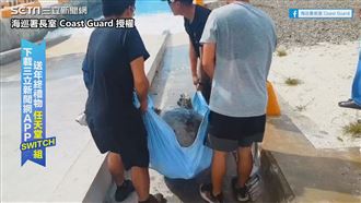 海龜媽媽上岸產卵受困　海巡協助返海