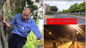 韓國瑜承諾跳票！蓮池潭樹木全被砍　愛樹人士批：可恥行為（圖／翻攝自資料照、高雄愛樹人臉書）