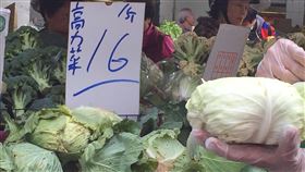 高麗菜價持續走低　超種紫色燈號再現高麗菜自10月下旬上市以來價格持續走低，11月中旬又再度出現超種的紫色燈號。農糧署呼籲農民，11月下旬千萬不要再超種，因屆時採收上市時間已過農曆春節，市場需求減少，還有其他蔬菜也會上市，若供過於求難保不賠本。中央社記者楊淑閔攝　108年11月28日