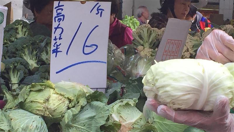 高麗菜還在銅板價　又超種亮紫色燈號