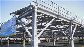 行政院,水產試驗所,魚電共生,不影響,養殖物生長(圖/中央社)