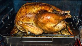 火雞、雞腿。（pixabay免費圖庫）