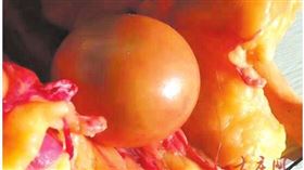 （圖／翻攝自大慶晚報）中國,黑龍江,公鴨,鴨寶,鴨蛋