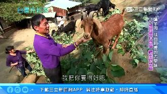古法煙燻溫補羊肉　找回記憶中古早味