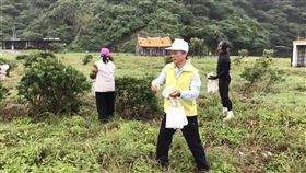 龜山島封島冬眠　109年3月再開放宜蘭龜山島30日起依往例封島3個月，當地工作人員撒下今年夏天蒐集的百合花種子，盼109年3月重新開放後營造美麗花海盛景，吸引遊客造訪。（交通部觀光局提供）中央社記者沈如峰宜蘭縣傳真　108年11月30日