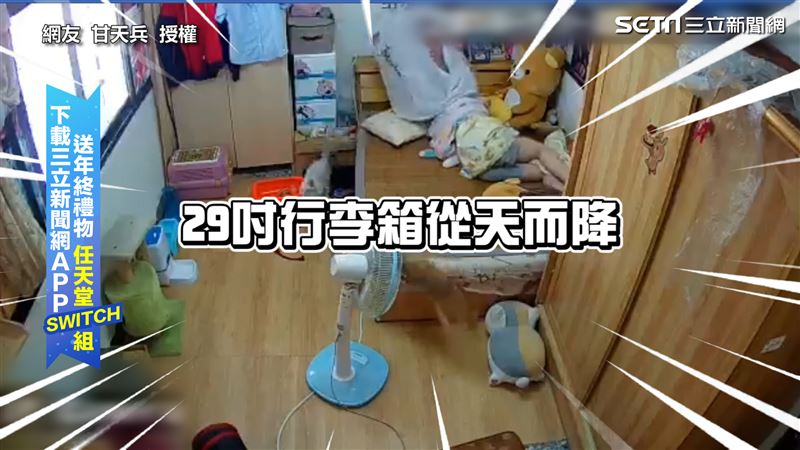牠為吃飯出大絕　行李箱重擊叫醒奴才