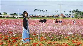 攝影師傳授拍照技巧　民眾遊花毯節也能成網紅2019台中國際花毯節進入倒數，市府觀旅局特地請來攝影師分享拍照技巧，讓民眾暢遊台中國際花毯節也能拍出網紅照片。（台中市觀旅局提供）中央社記者趙麗妍傳真　108年11月30日
