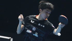 T2鑽石賽新加坡站 林昀儒晉決賽2019年T2鑽石賽新加坡站4強賽，台灣桌球一哥林昀儒24日以4比0擊敗中國好手林高遠，打進冠軍戰。中央社記者黃自強新加坡攝  108年11月24日