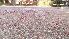 文 繞境狂炮吵1200