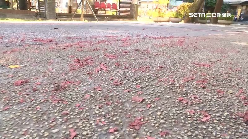 竹南炮炸邯鄲爺　鞭炮反彈引發爆衝突