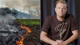 李奧納多 亞馬遜雨林／IG