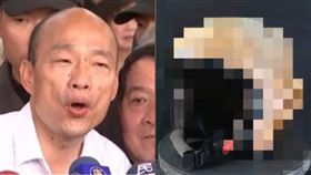 禿子安全帽（組合圖／資料照、翻攝自「公民割草行動」臉書）