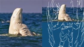 圖／翻攝自推特
https://twitter.com/kaell_sillva/status/1198035086979018753