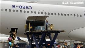 桃園,機場,高以翔,水晶棺（圖／記者 陳啟明攝）