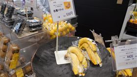 屏東香蕉日本通路上市屏東香蕉近期在日本百貨和超市通路陸續上市，屏東縣長潘孟安2日表示，日本百貨超市店長盛讚台灣香蕉銷售情況火熱，顧客都說口感一級棒，台灣香蕉的價格和品質更拉開與菲律賓、中南美洲香蕉的差距，深受日本消費者喜愛。（屏東縣政府提供）中央社記者郭芷瑄傳真  108年12月2日