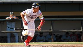 日職紅野村大樹。（圖／中職提供）