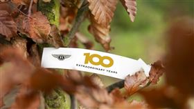 ▲賓利在英國工廠種100棵樹（圖／翻攝網路）
