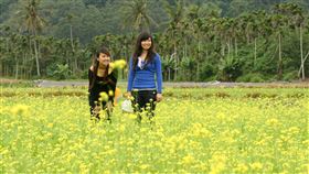 ▲秋冬遊（圖／記者唐家興攝影）