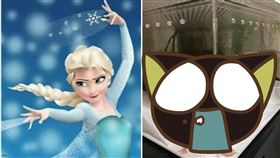 壁虎模仿艾莎，爆笑公社，網友全笑翻。（圖／翻攝自爆笑公社）