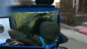 圖／翻攝自看看新聞