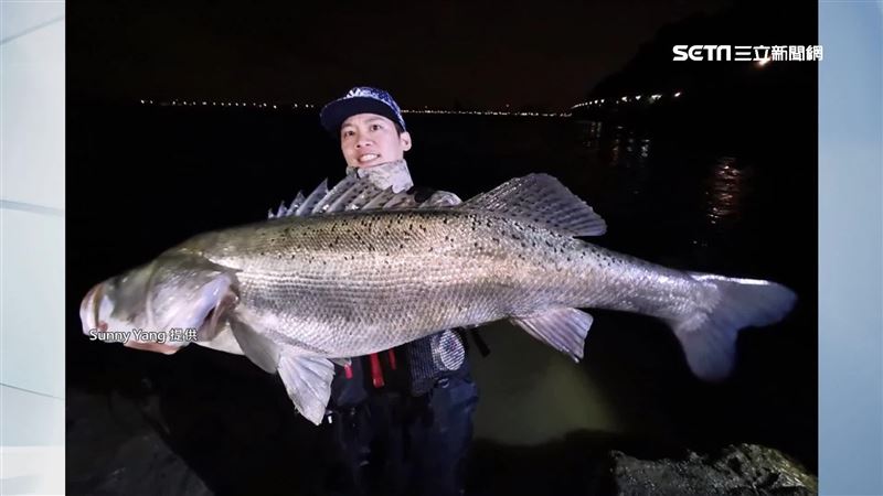 巨魚藏關渡！他釣起破百公分夢幻海鱸