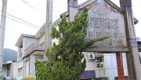 台大返還馬遠祖先遺骨延宕台大醫學院團隊於1960年間，為進行體質人類學研究，赴花蓮縣萬榮鄉馬遠村挖掘40多具布農族人遺骨進行研究。台灣大學2年前答應返還，但因遺骨存放處所及設立紀念碑等細節未談妥而延宕。中央社記者李先鳳攝　108年12月3日