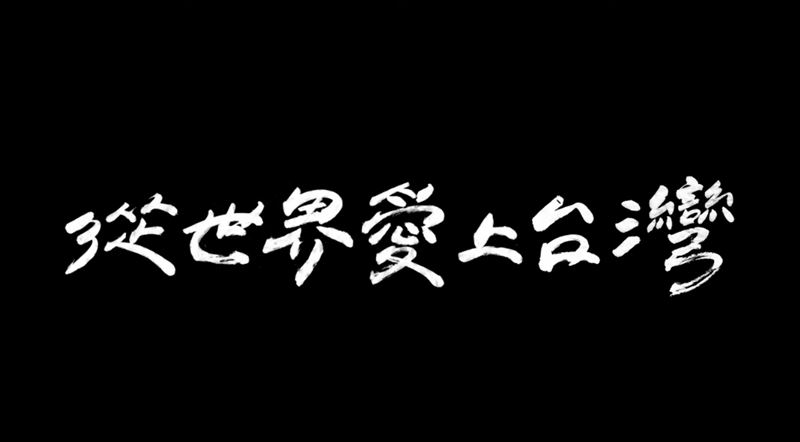台灣難波萬！小英推競選片　網友哭爆