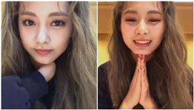 周子瑜,TWICE,養貓,名字,保庇（圖／翻攝自vlive）