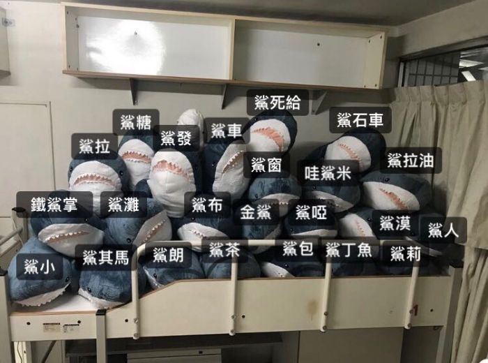 Ikea鯊魚娃娃 貴又普 在紅什麼 網曝 熱潮關鍵 生活 三立新聞網setn Com