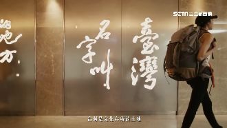 超催淚！蔡英文影片籲遊子回家投票