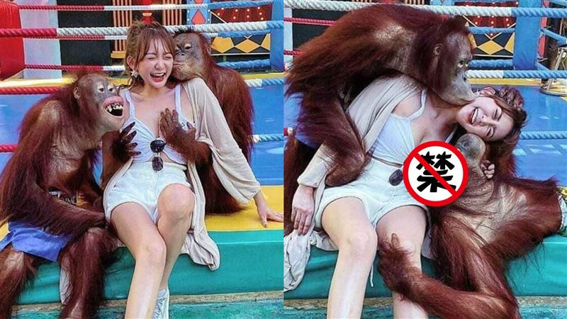 正妹合照被2猩猩玩弄胸…本尊神到了