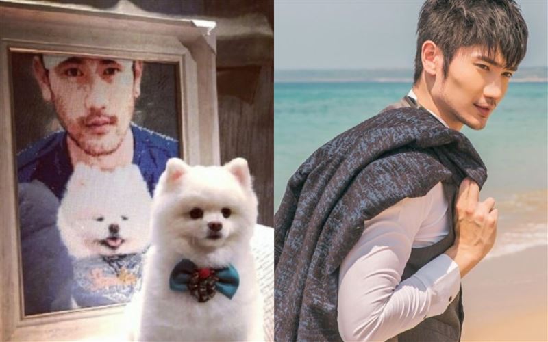 高以翔兄弟情深！愛犬帝歐交給他照顧