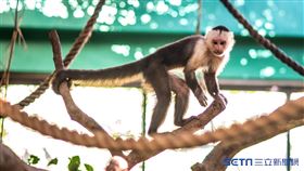 臺北市立動物園