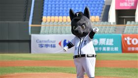 ▲台灣犬吉祥物首次在冬季聯盟開球。（圖／中華職棒提供）