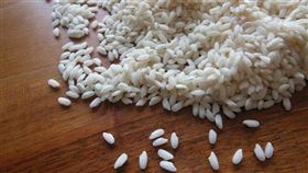 苡軒)孤牙 孤路