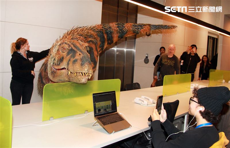 「與恐龍共舞」不得了爆龍闖進辦公室。（記者邱榮吉/攝影）