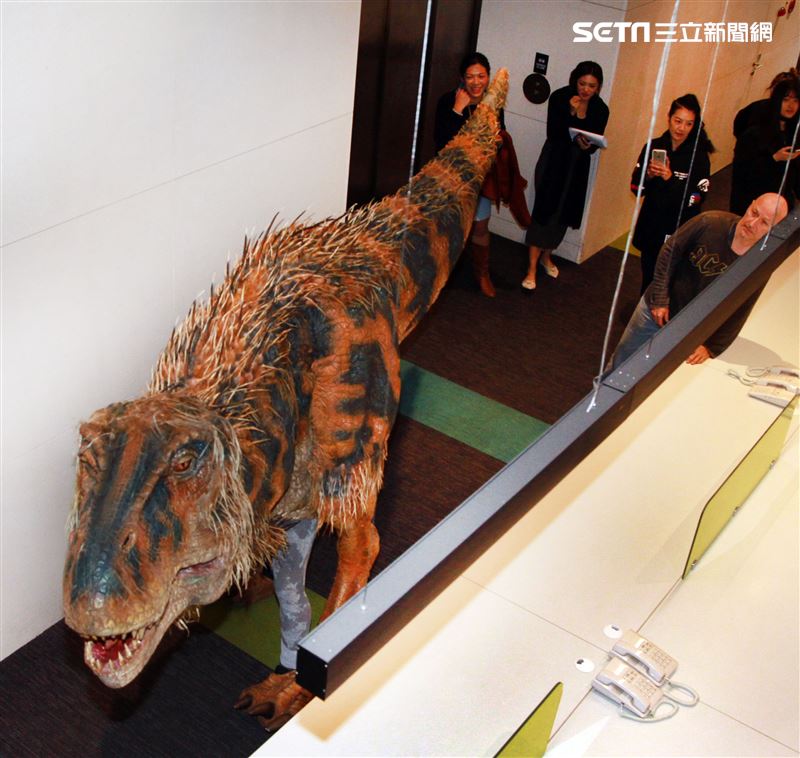 「與恐龍共舞」不得了爆龍闖進辦公室。（記者邱榮吉/攝影）