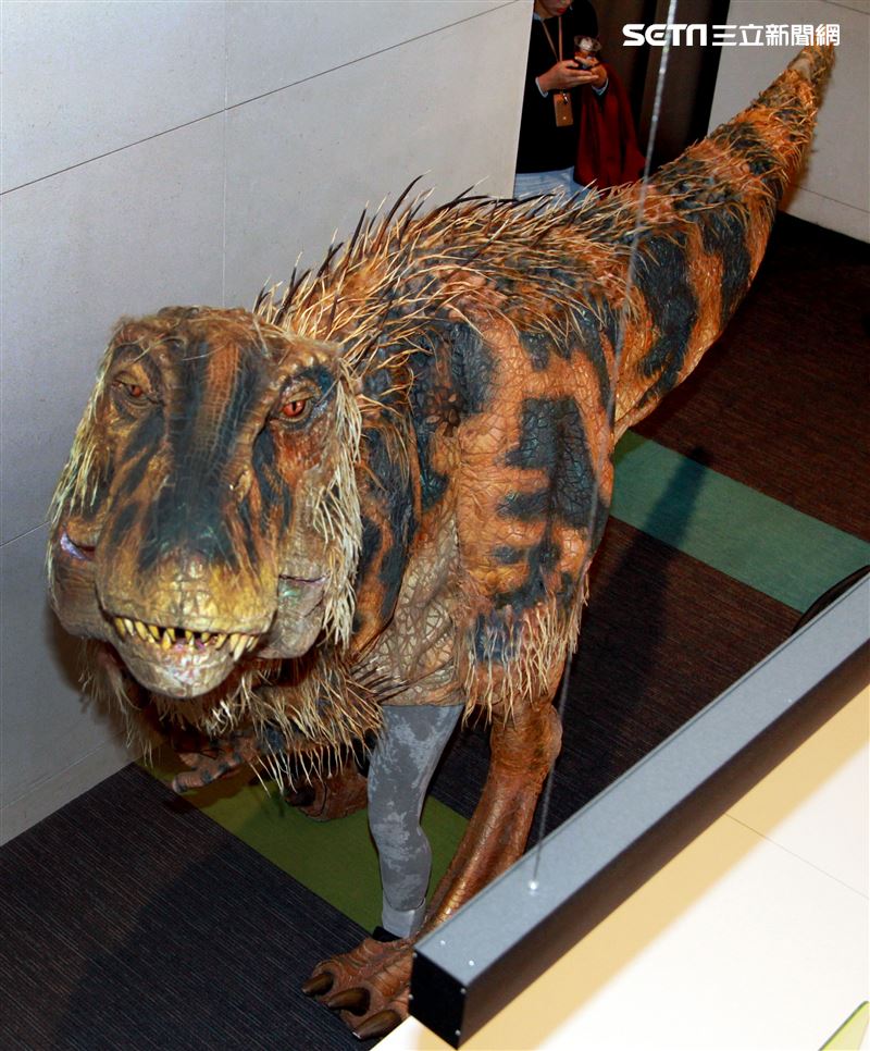 「與恐龍共舞」不得了爆龍闖進辦公室。（記者邱榮吉/攝影）