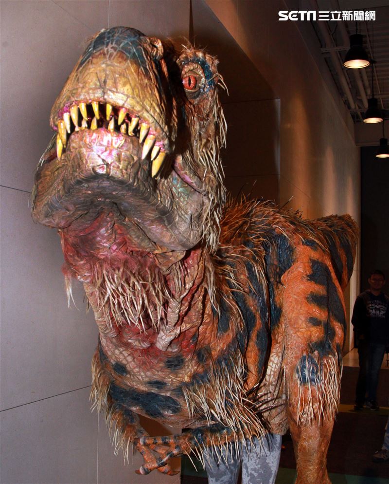 「與恐龍共舞」不得了爆龍闖進辦公室。（記者邱榮吉/攝影）