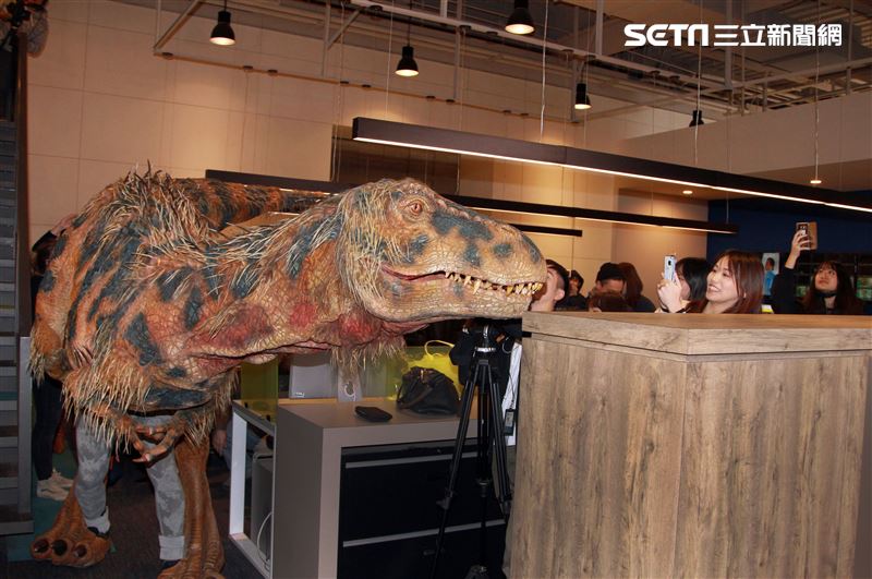 「與恐龍共舞」不得了爆龍闖進辦公室。（記者邱榮吉/攝影）