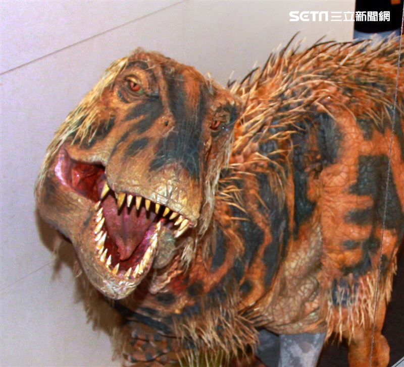 「與恐龍共舞」不得了爆龍闖進辦公室。（記者邱榮吉/攝影）