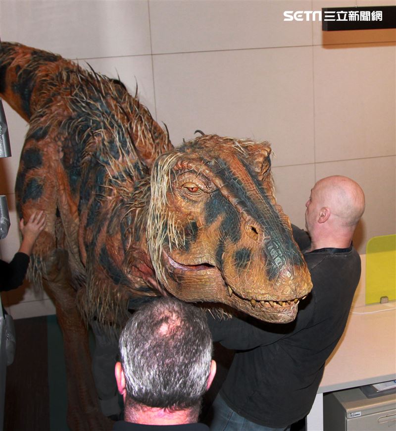「與恐龍共舞」不得了爆龍闖進辦公室。（記者邱榮吉/攝影）