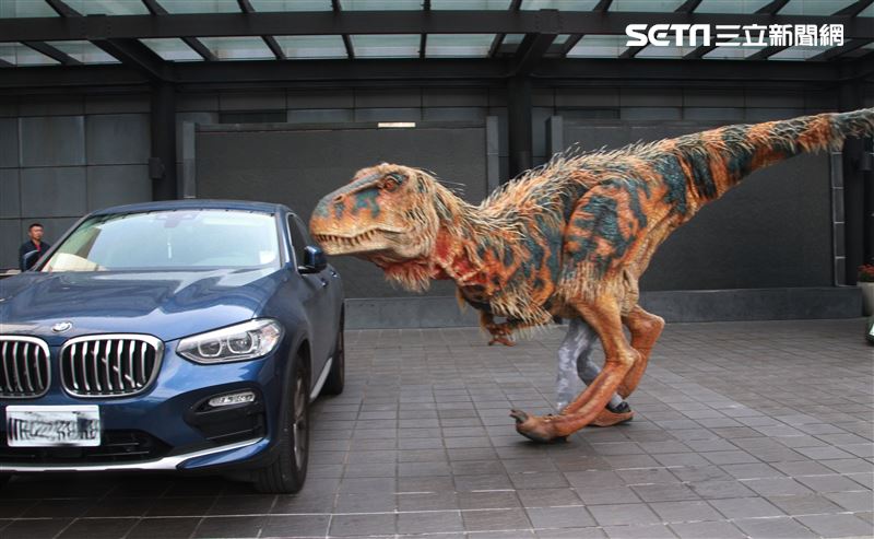 「與恐龍共舞」不得了爆龍闖進辦公室。（記者邱榮吉/攝影）